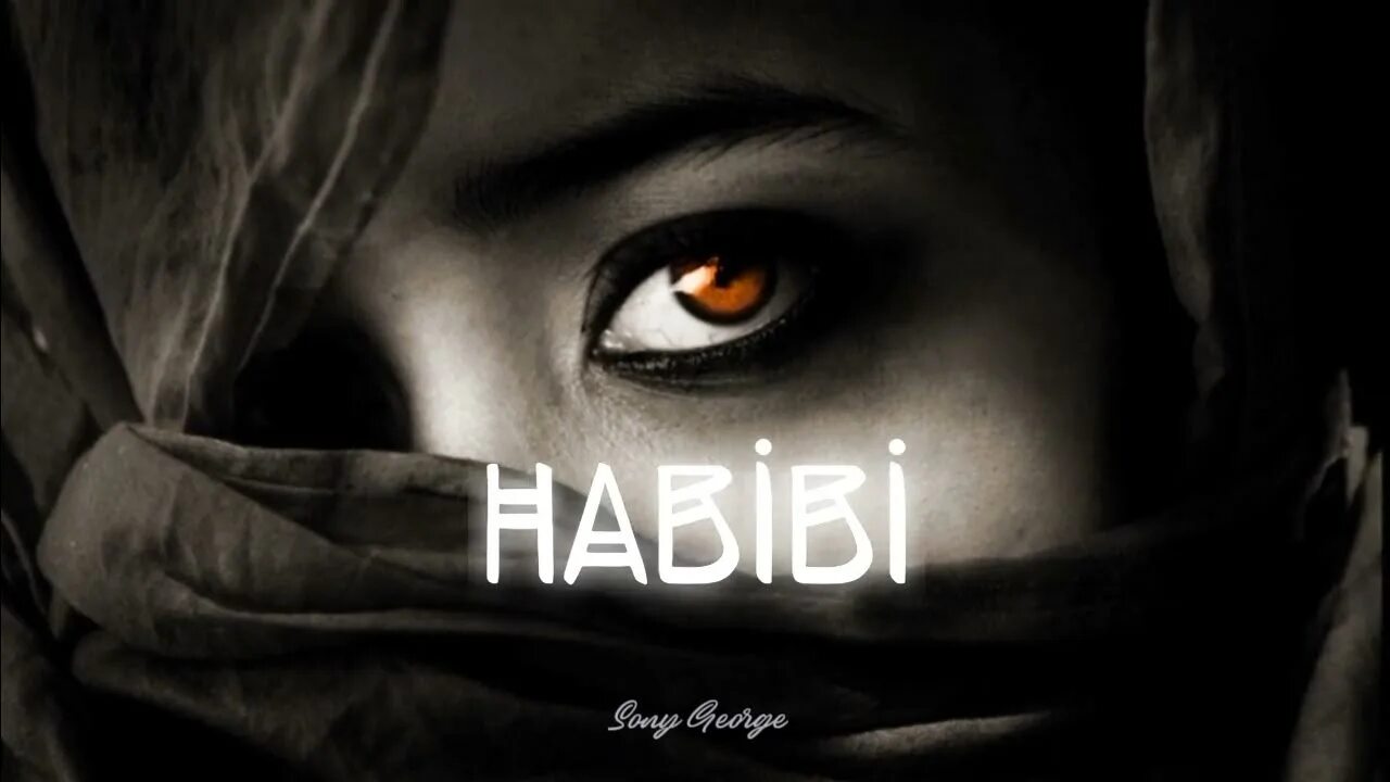 Habibi x. Habibi albanian. habibi albanian remix. песня habibi albanian. habibi albanian remix mp3.