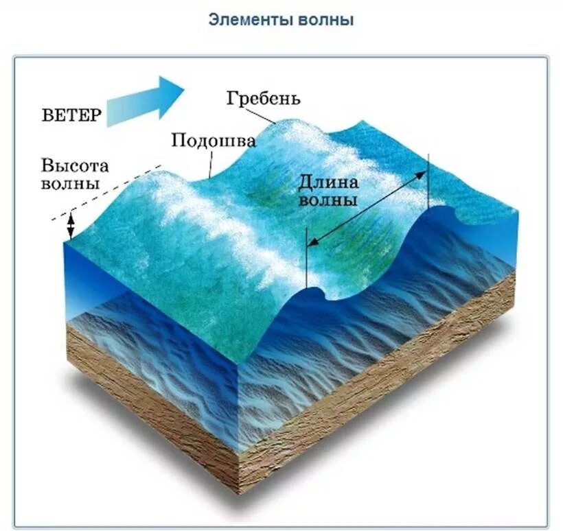 Волновой гребень. Движение воды в океане. Элементы волны. Схема элементов волны. Строение волны.
