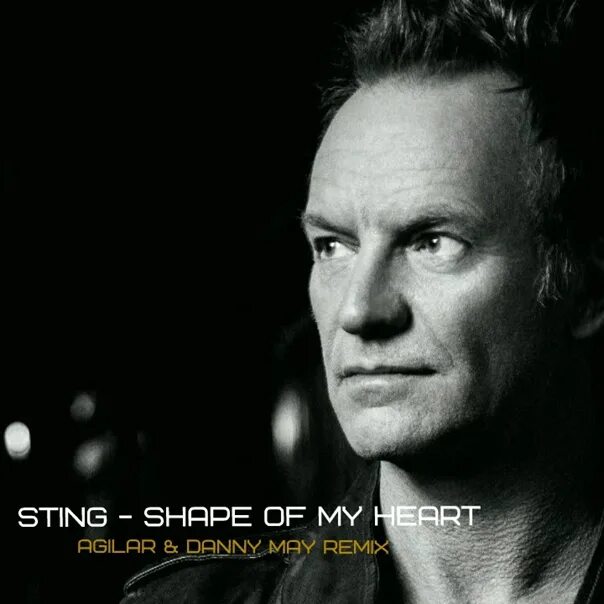 Стинг шейп май. Стинг. стинг shape of my heart. sting обложка. стинг обложки альбомов.