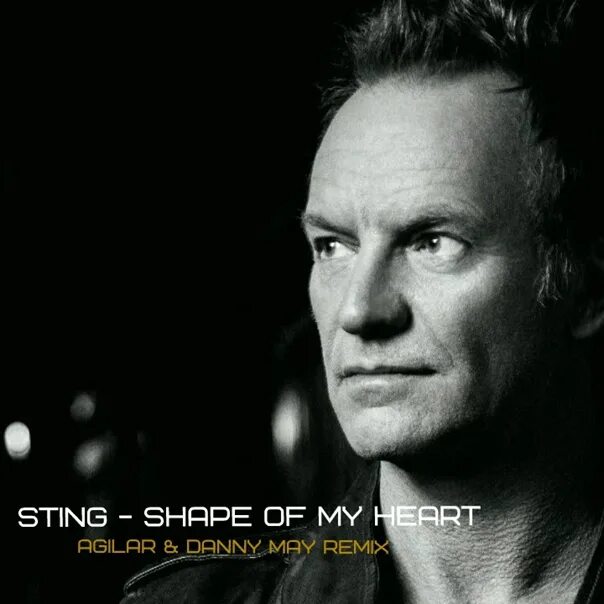 По стингу текст. Стинг. Стинг Shape of my Heart. Sting обложка. Стинг обложки альбомов.