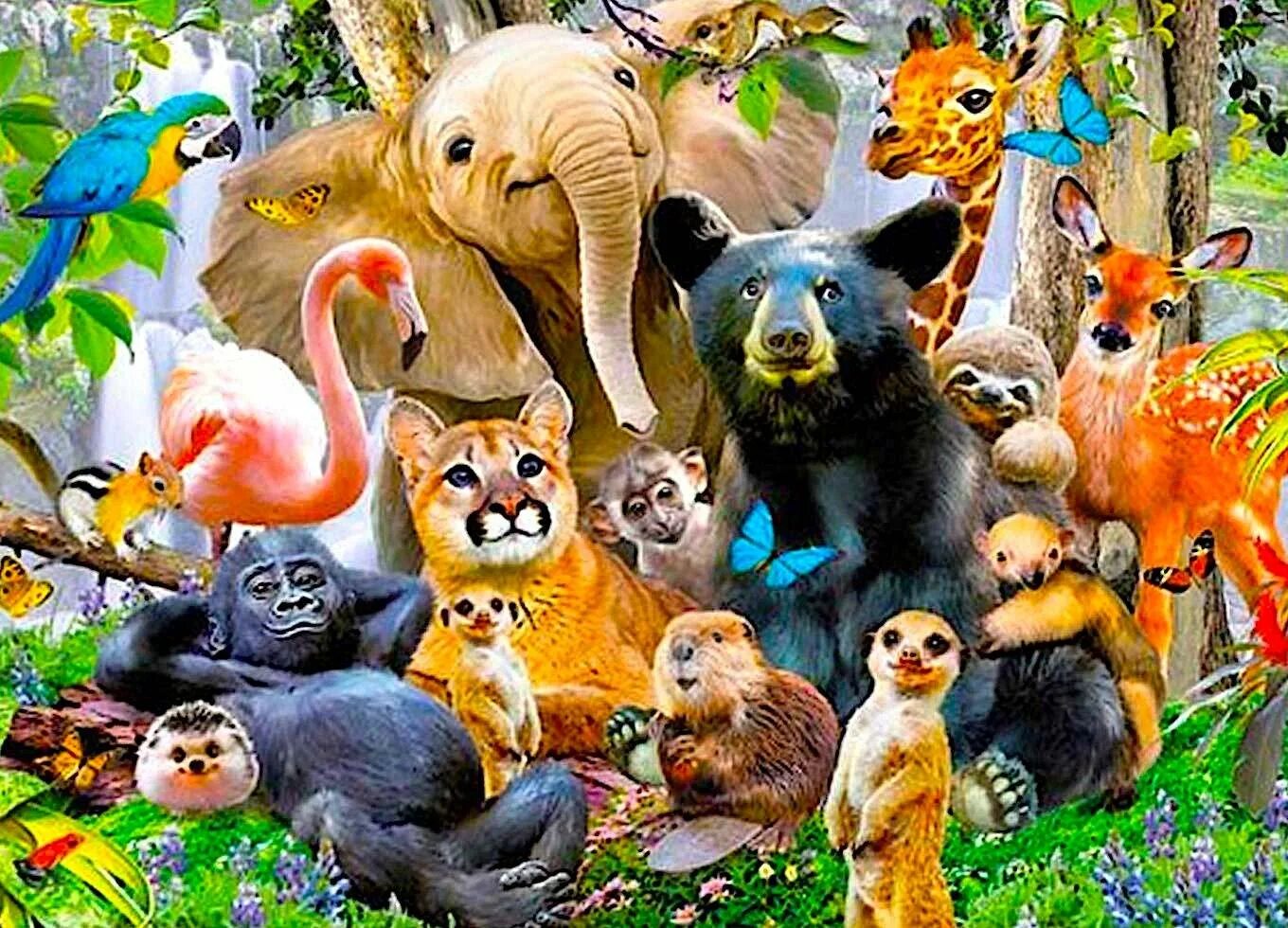 много зверей. много животных на одной картинке. животные коллаж. животные африкиафрики. много разных животных.