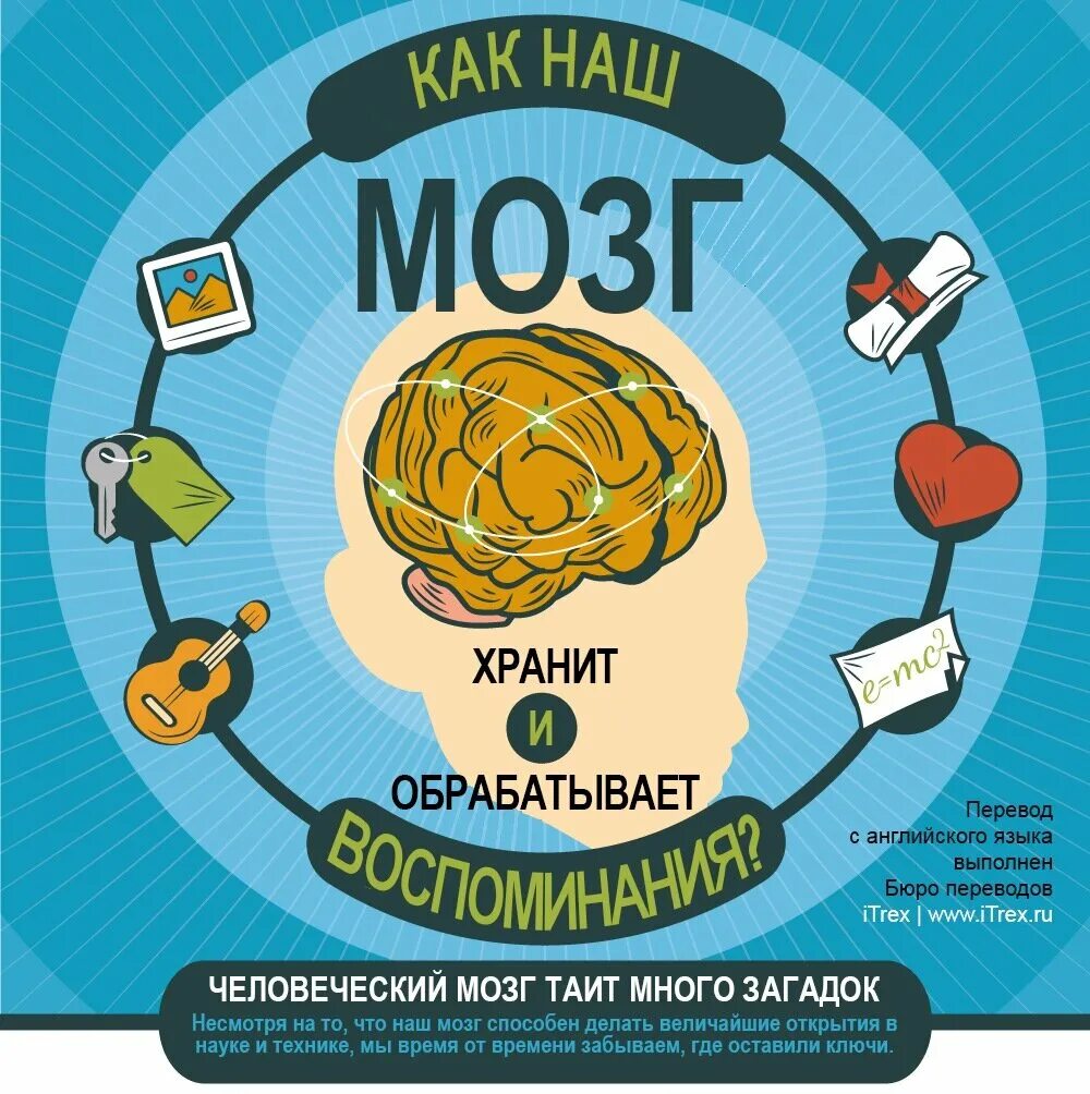 Мозг обрабатывает информацию. Мозг и информация. Мозг инфографика. Мозг воспоминания. Brain 84