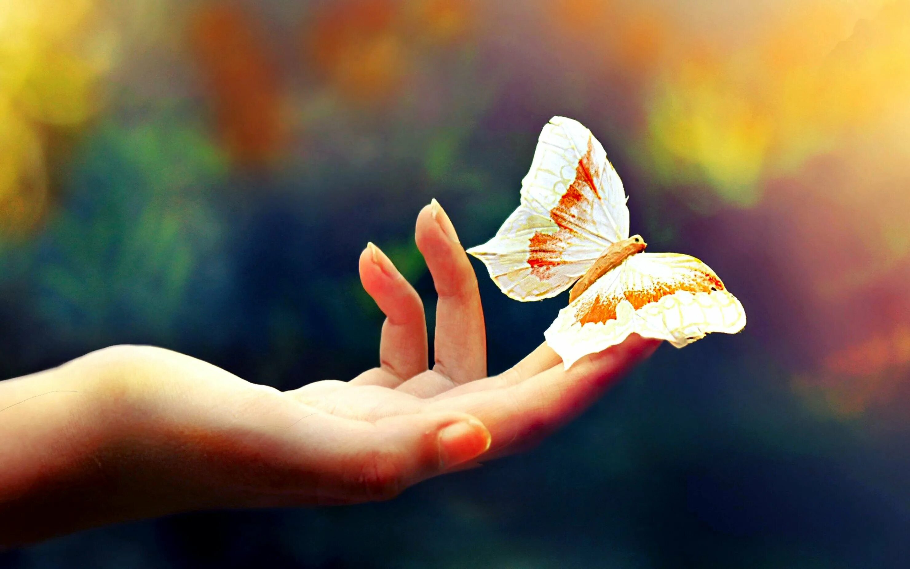 Добро картинки красивые с надписью. Бабочка на ладони. На руку бабочка. Эстафета добра. Счастье подобно бабочке.