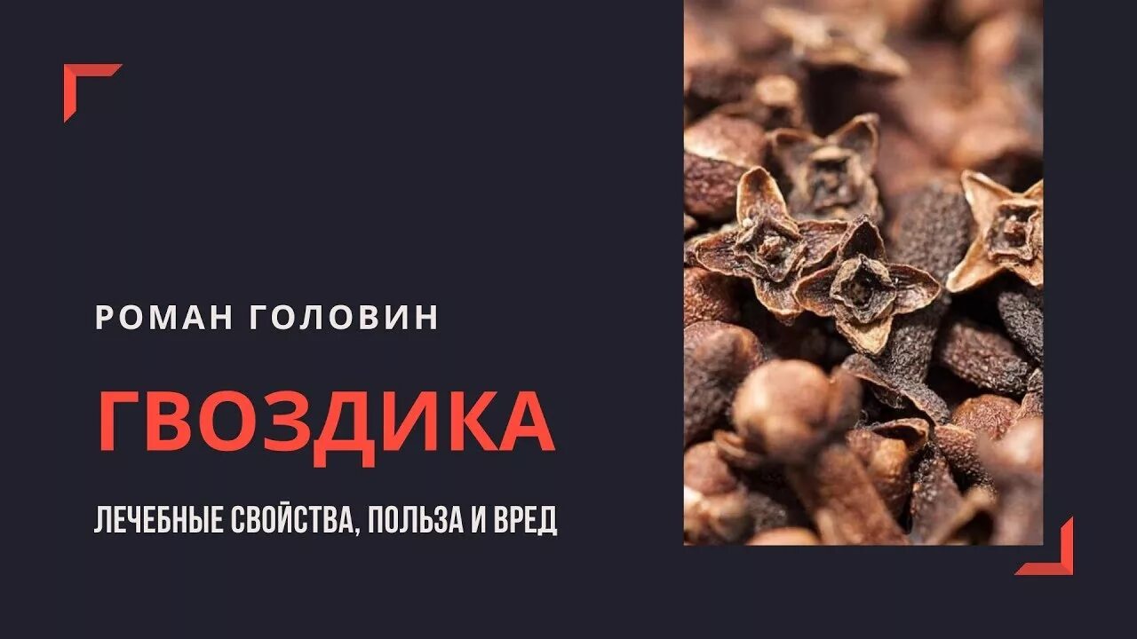 Вред гвоздики для мужчин польза. Гвоздика специя. гвоздика пряная. гвоздика полезные свойства. гвоздика польза.