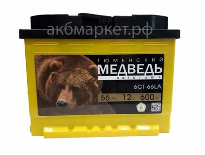 Медведь 66 артемовский