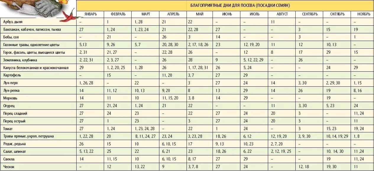 В какие дни можно садить рассаду. Календарь посадки чеснока. Лунный календарь для посадки чеснока. Благоприятные дни для посадки чеснока. Благоприятные дни для посадки озимого чеснока.