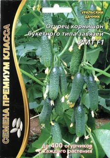 Семена огурцы самоопыляемые