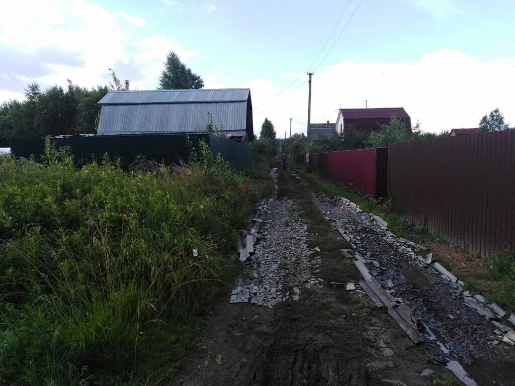 Снт чайка 2 дубна. Снт чайка 2 дубна. Участок снт чайка. Деревня большое буньково ногинский. , снт чайка, 183.