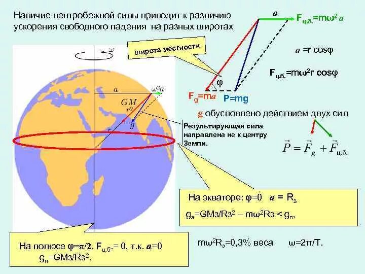 Зависимость веса тела от широты. Центробежная сила и сила тяжести. Центробежная сила вращения земли. Центробежное ускорение на экваторе.