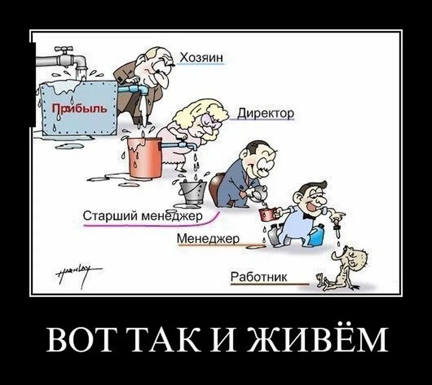 Директор сказал работать. Распределение прибыли прикол. Эффективный менеджер карикатура. Юмор про работу. Шутки про менеджмент.