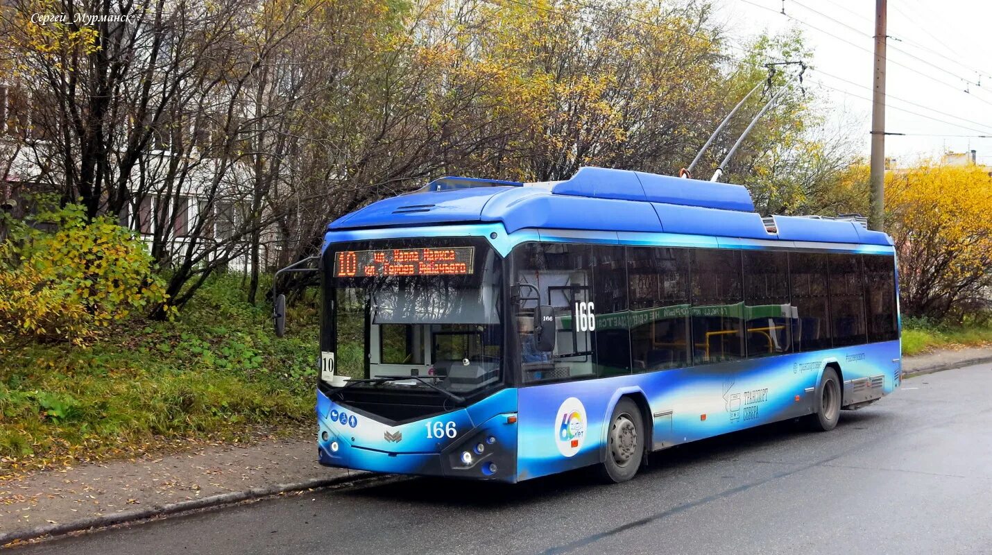 Сайт электротранспорт мурманск. Электротранспорт Мурманск. Трамвай в Мурманске. Собака в троллейбусе. Автобусы в городах России 2022 год.
