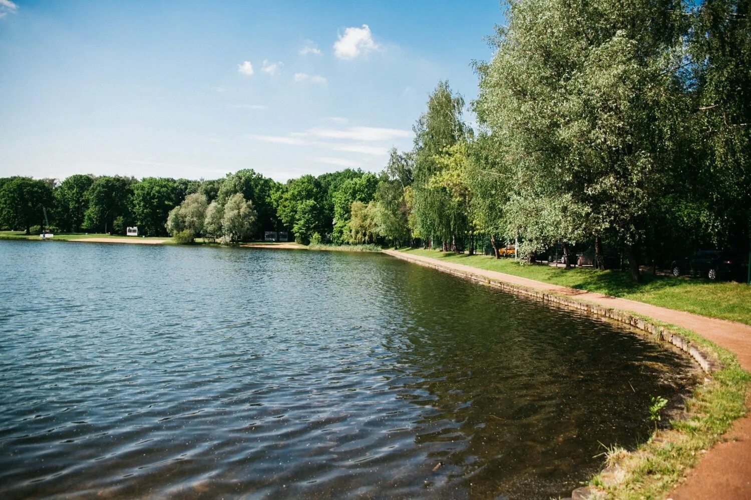Путяевский пруд 1 в сокольниках. Путяевский пруд в сокольниках пляж. Большой путяевский пруд в парке сокольники. Путяевский пляж в сокольниках. Озеро в сокольниках.