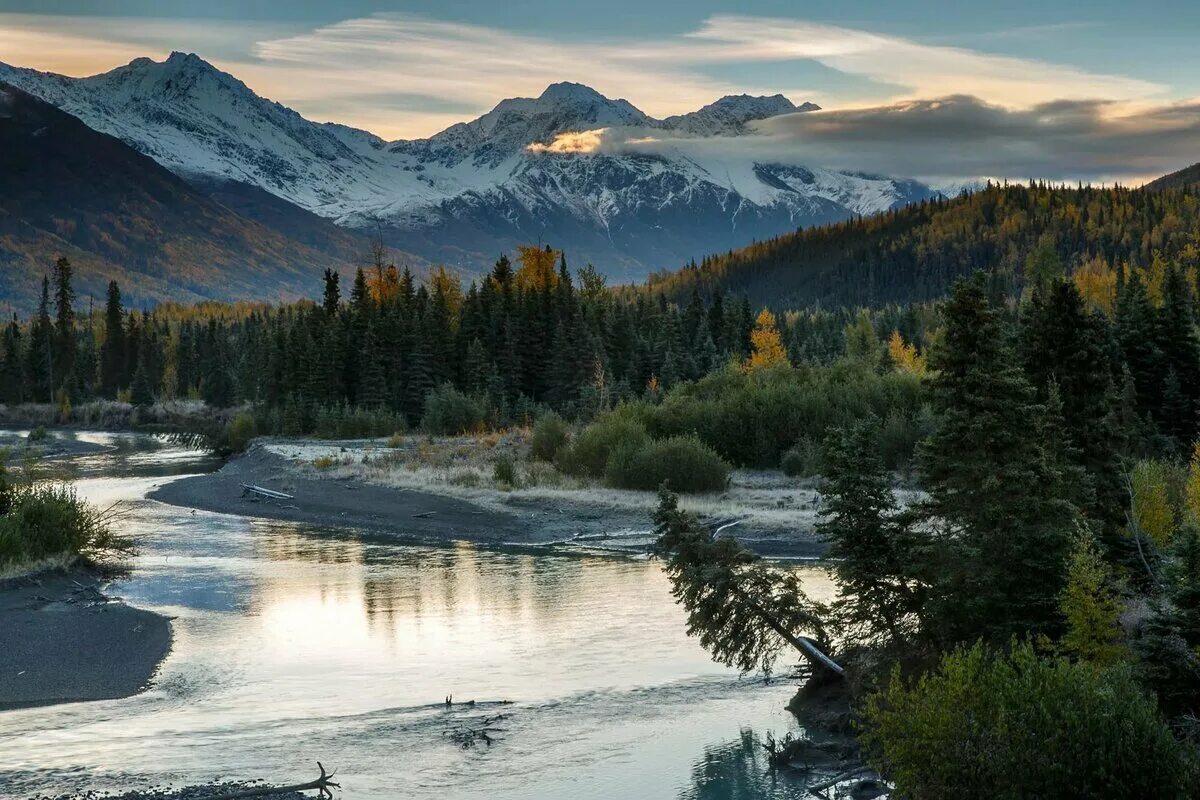 Национальный парк Денали, штат Аляска. Аляска Анкоридж природа. Северная Америка Аляска. Национальный парк Денали США.