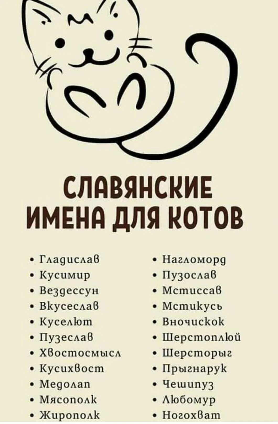 Имена для котов. Клички для кошек. Имена для кошек. Имя. Клевое имя