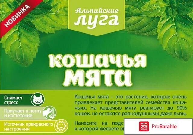 Альпийские Луга Кошачья мята. Мята этикетка. Альпийские Луга Кошачья мята "2 мышки". Кошачья мята в пакетиках.