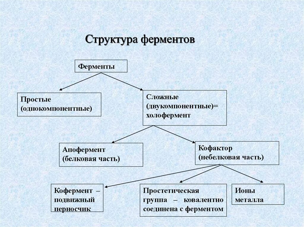 Строение простых и сложных ферментов. Классификация ферментов схема. Строение сложного фермента. Структура и свойства ферментов.