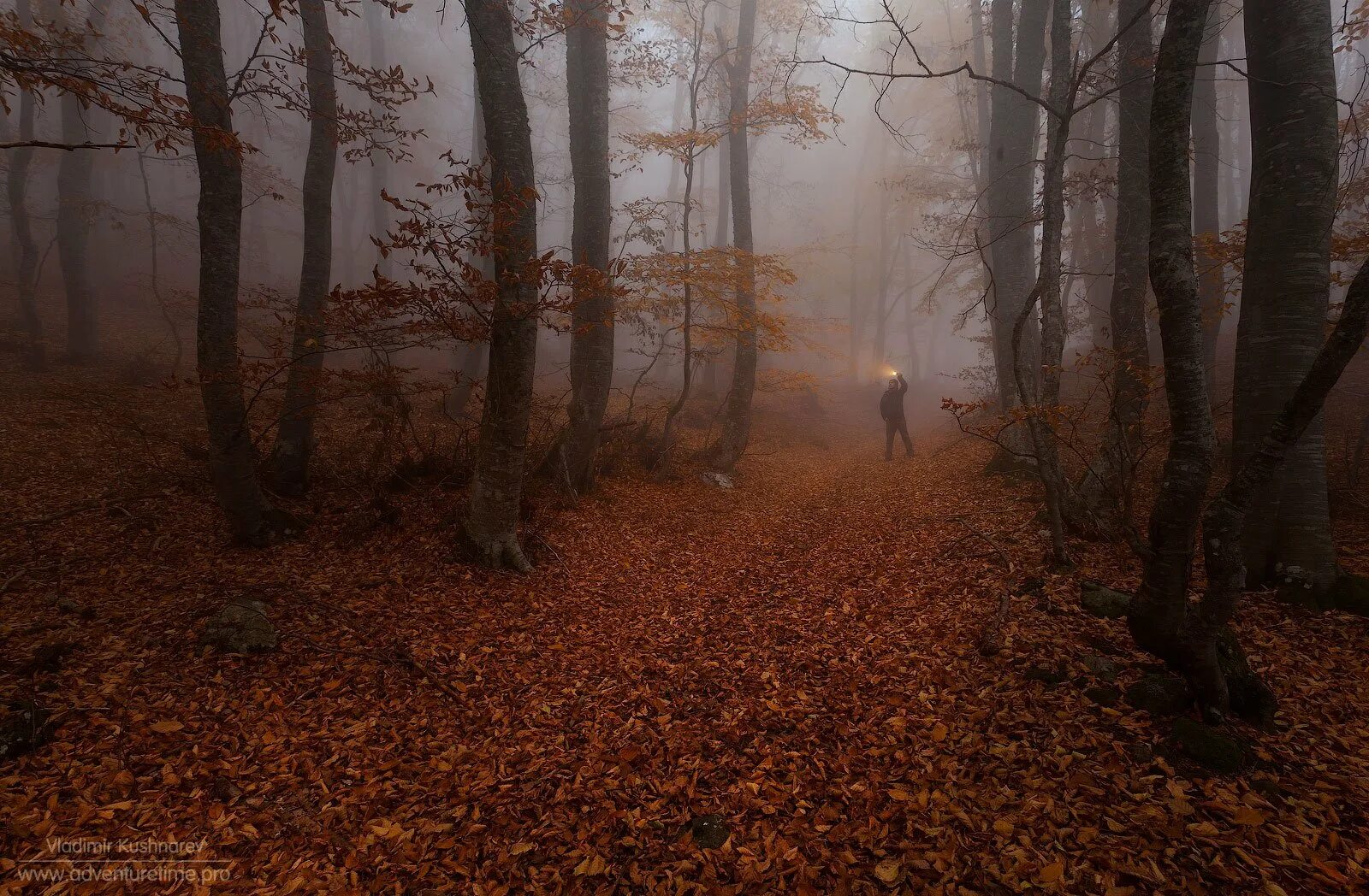 Музыкальный пейзаж. Как то давно темным осенним. Грустная осень. Русский язык 6 класс номер 443. Осеннее фэнтези.