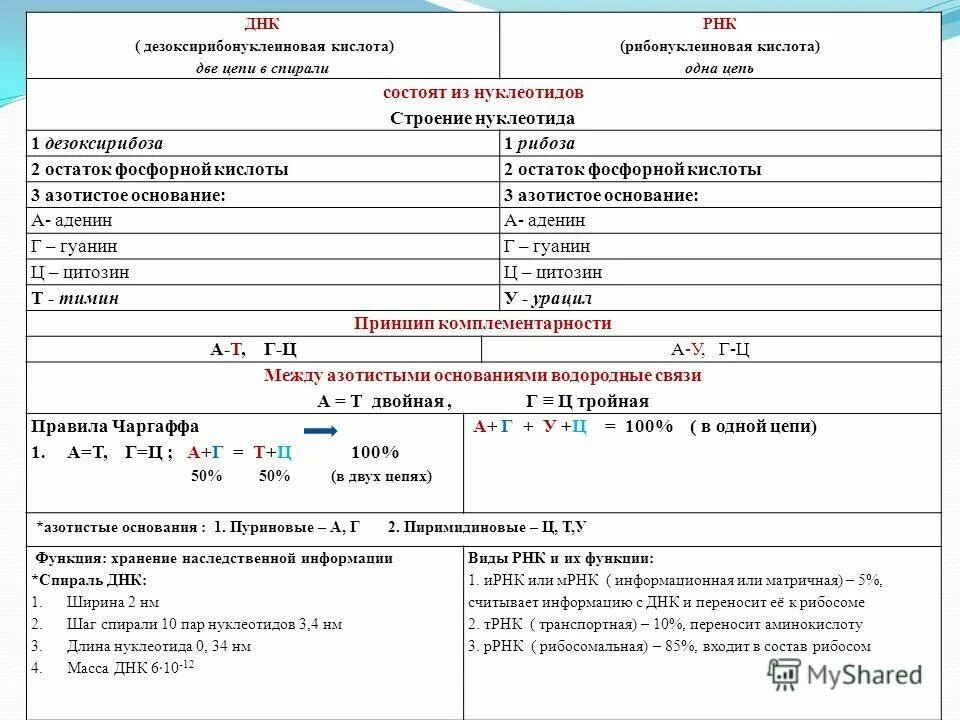 Тест днк рнк. Задачи по ДНК биология 10 кл. Задачи по биологии 10 класс ДНК И РНК С решением. Задачи по молекулярной биологии 10 класс. Решение задач ДНК.