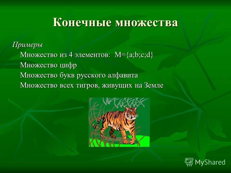 Примеры конечных и бесконечных множеств. Классификация множеств. Конечное множество элемент множества. Счёт элементов конечного множества. Какие множества являются конечными.