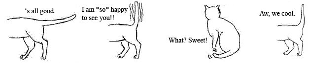 Cat position. Кошка для осанки. правильная осанка у кошки. cat body. вынужденная поза кошки при мочеиспускании рисунок из учебника.