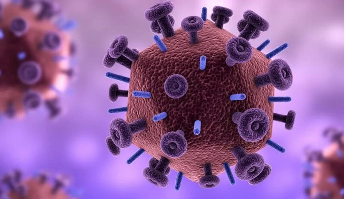 Human immunodeficiency virus. Вирус иммунодефицита человека (Human Immunodeficiency virus). Вирус СПИДА под микроскопом. Вирус иммунодефицита под микроскопом. Ретровирус ВИЧ.