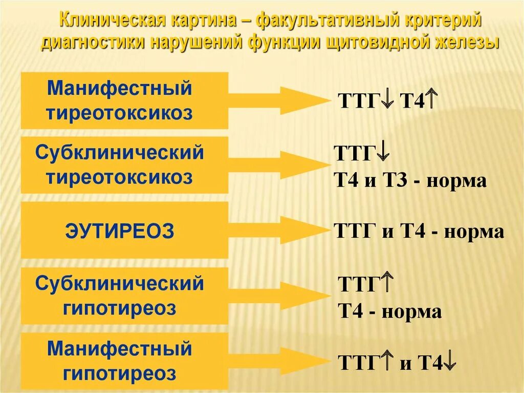 Норма ТТГ т3. Взаимосвязь ТТГ И т3 и т4. Понижение ТТГ. Уровень т3