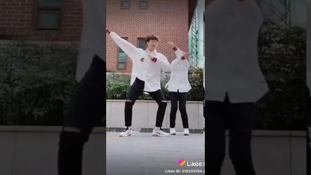 Тренды которые танцуют. Аляскинская ездовая хаски. Прыгучая собака порода. Девочка танцует в лайке. Тренды танцев в лайке.