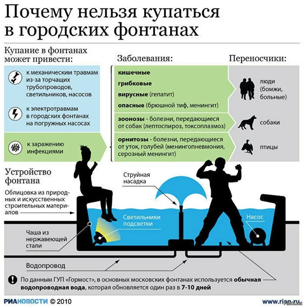 Почему опасно жить. Почему нельзя купаться в фонтанах. Почему запрещено купаться в фонтане. Почему нельзя купаться в фонтанах города. Почему нельзя купаться.