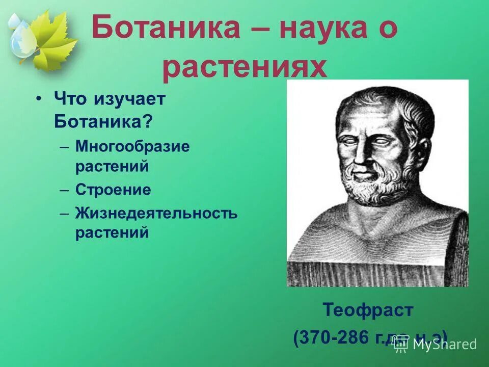 ботаника это кратко. тимирязева фотосинтез. процессы жизнедеятельности растений изучает наука. биология наука о растениях. процессы жизнедеятельности растений.