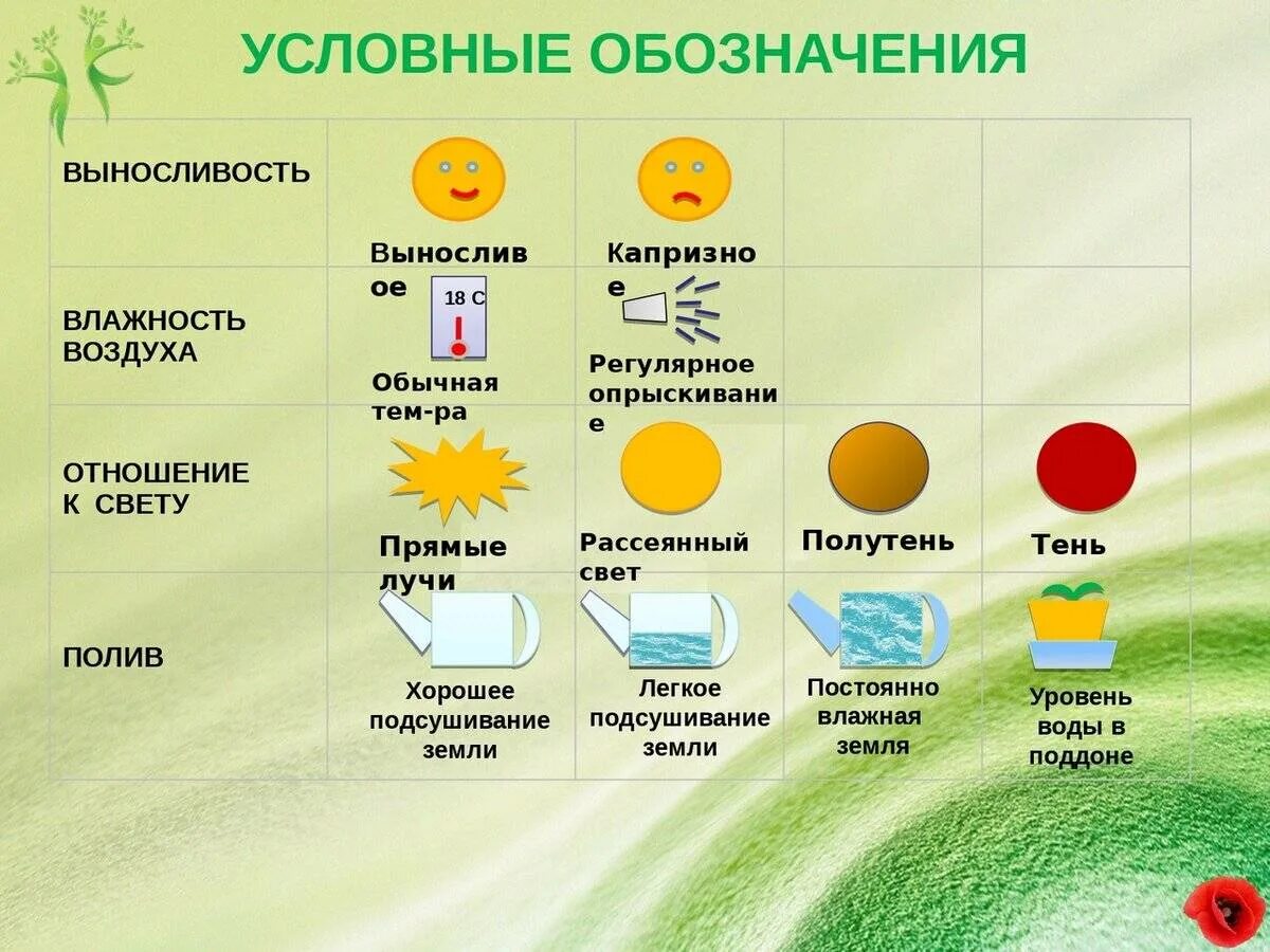 Обозначение температуры и влажности. Условные обозначения для комнатных растений. Обозначения для ухода за растениями. Обозначения для комнатных растений в детском саду.