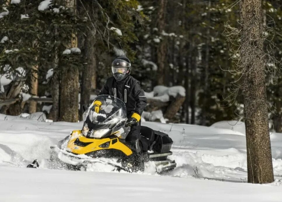 BRP Skandic 550 WT. Снегоход Скандик 550. Снегоход Скандик 550 свт. BRP Ski-Doo Skandic WT 550.