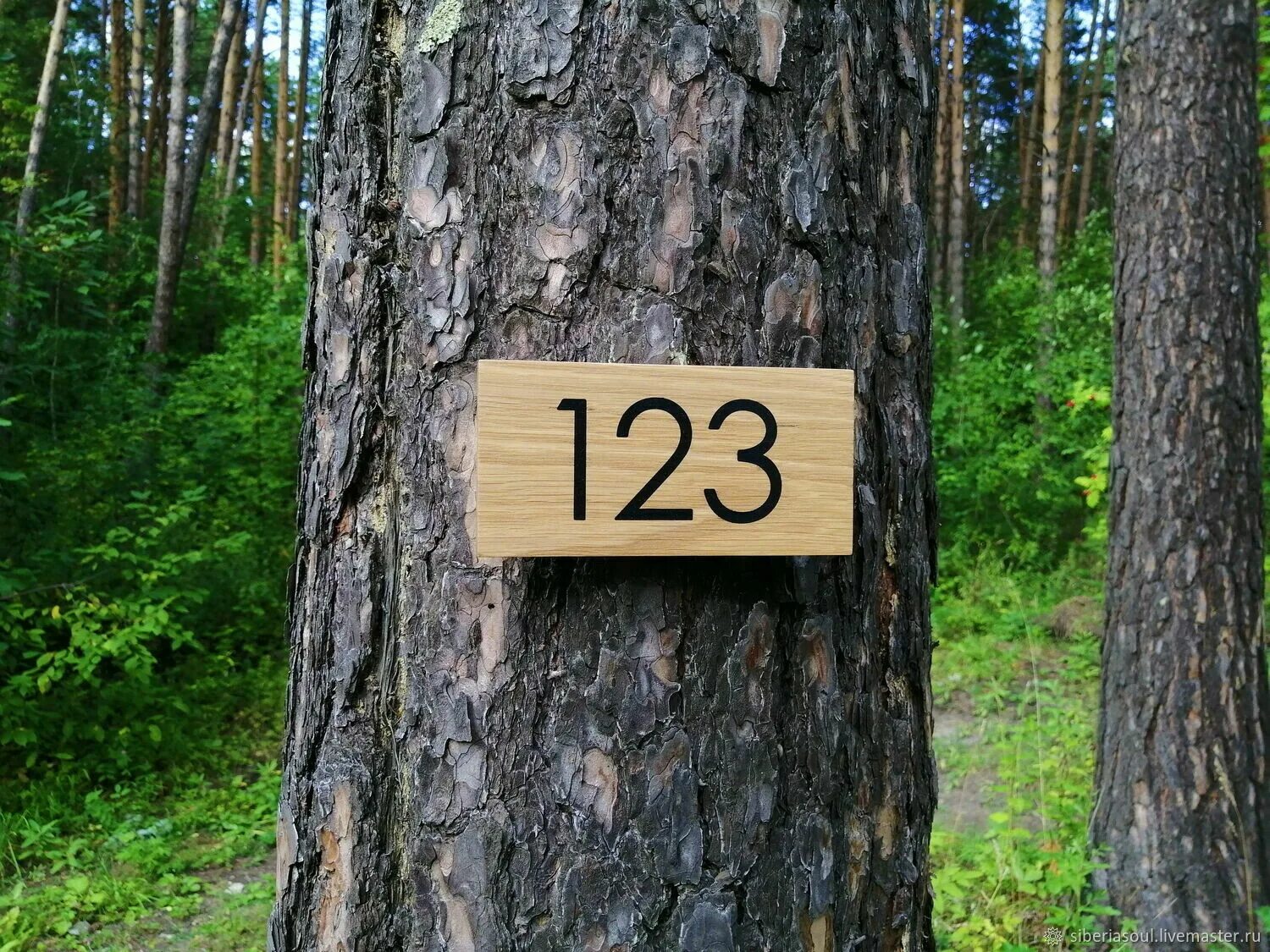 Парящие номера на дереве