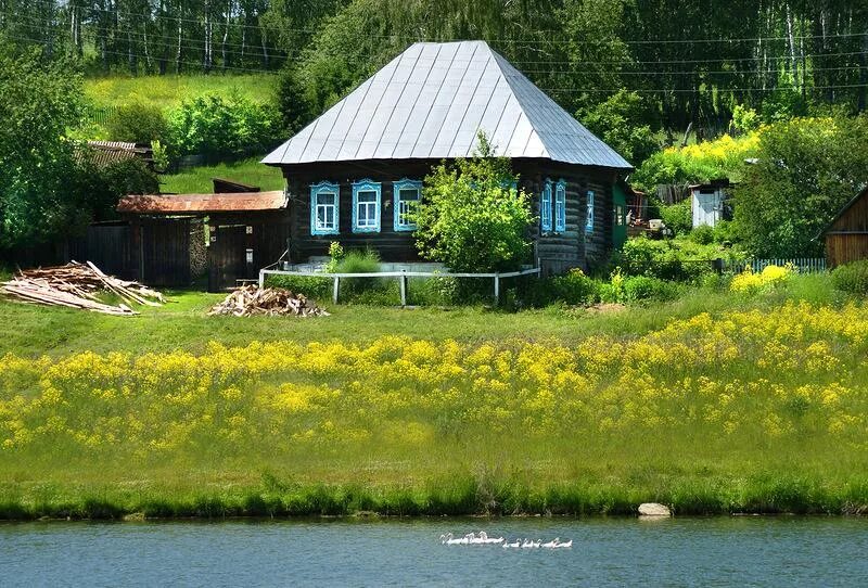 Берега родного дома. Деревенский домик. Лето в деревне. Красивый домик в деревне. Деревенский домик летом.