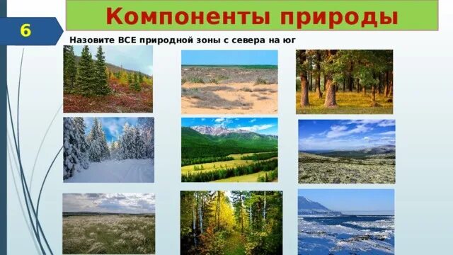 Природные зоны. Природные зоны России. Фотографии природных зон. Природные зоны России картинки.