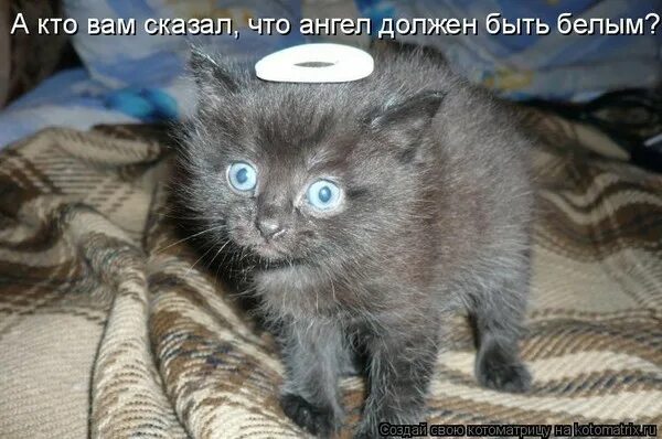 А потом он вырос