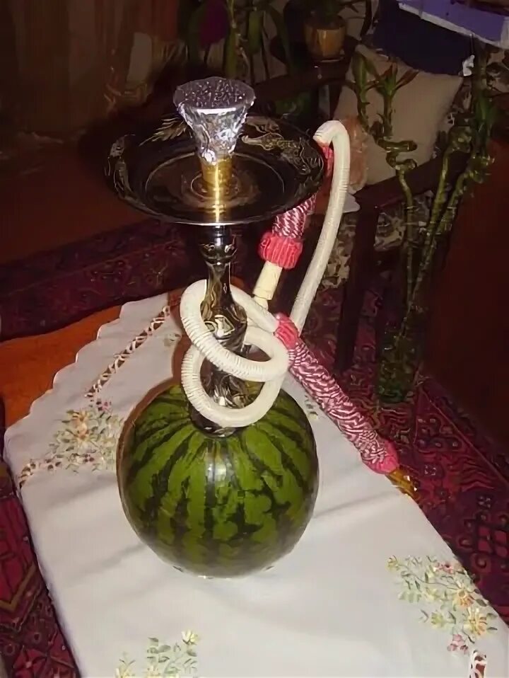 чаша на арбузе. кальян на фрукте. чаша из арбуза для кальяна. кальян на арбузе. чаша на арбузе.