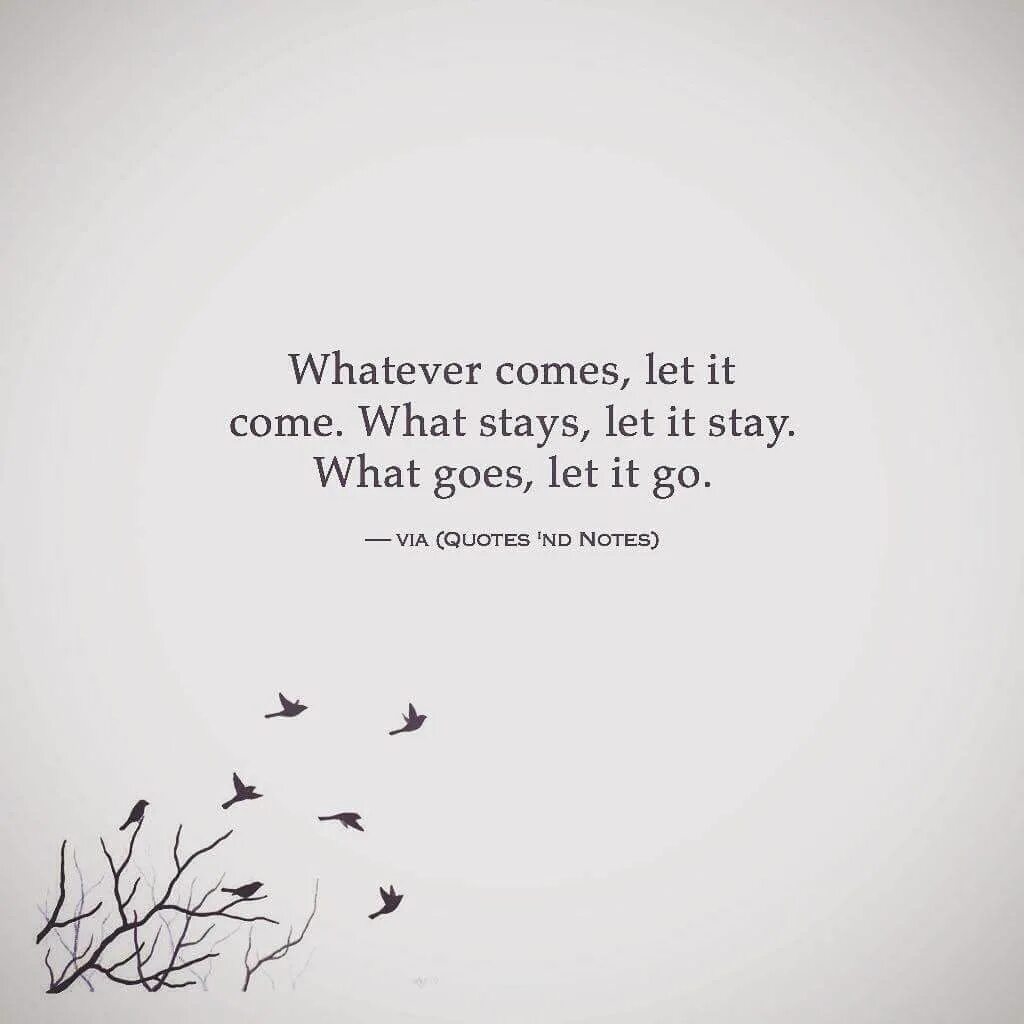 Now come and let s regret it. Let it go quotes. Let's quote. Quotes about letting go. Letting go quotes.