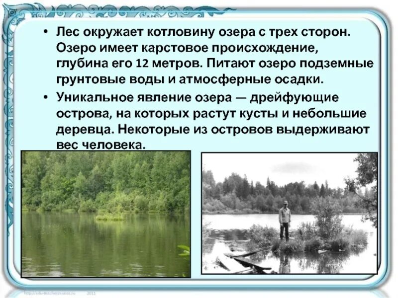 В озеро имеющее среднюю. Уникальные озера Вятского края презентация. Лесное озеро происхождение котловины. Лес устное собеседование. Описание фотографии леса устный.