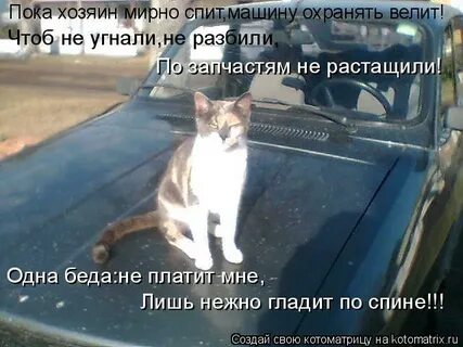 Пока хозяин