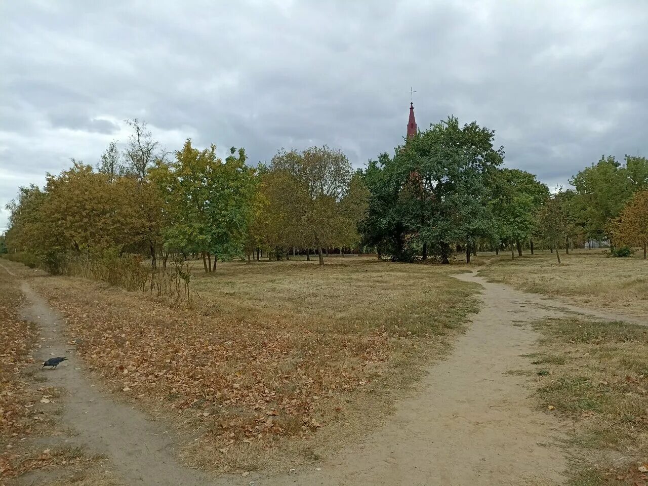 парк культуры и отдыха имени октября ростов на дону. мбу парк культуры и отдыха им. парк луга ростовская область. парк имени октября. детский парк г ростов на дону.