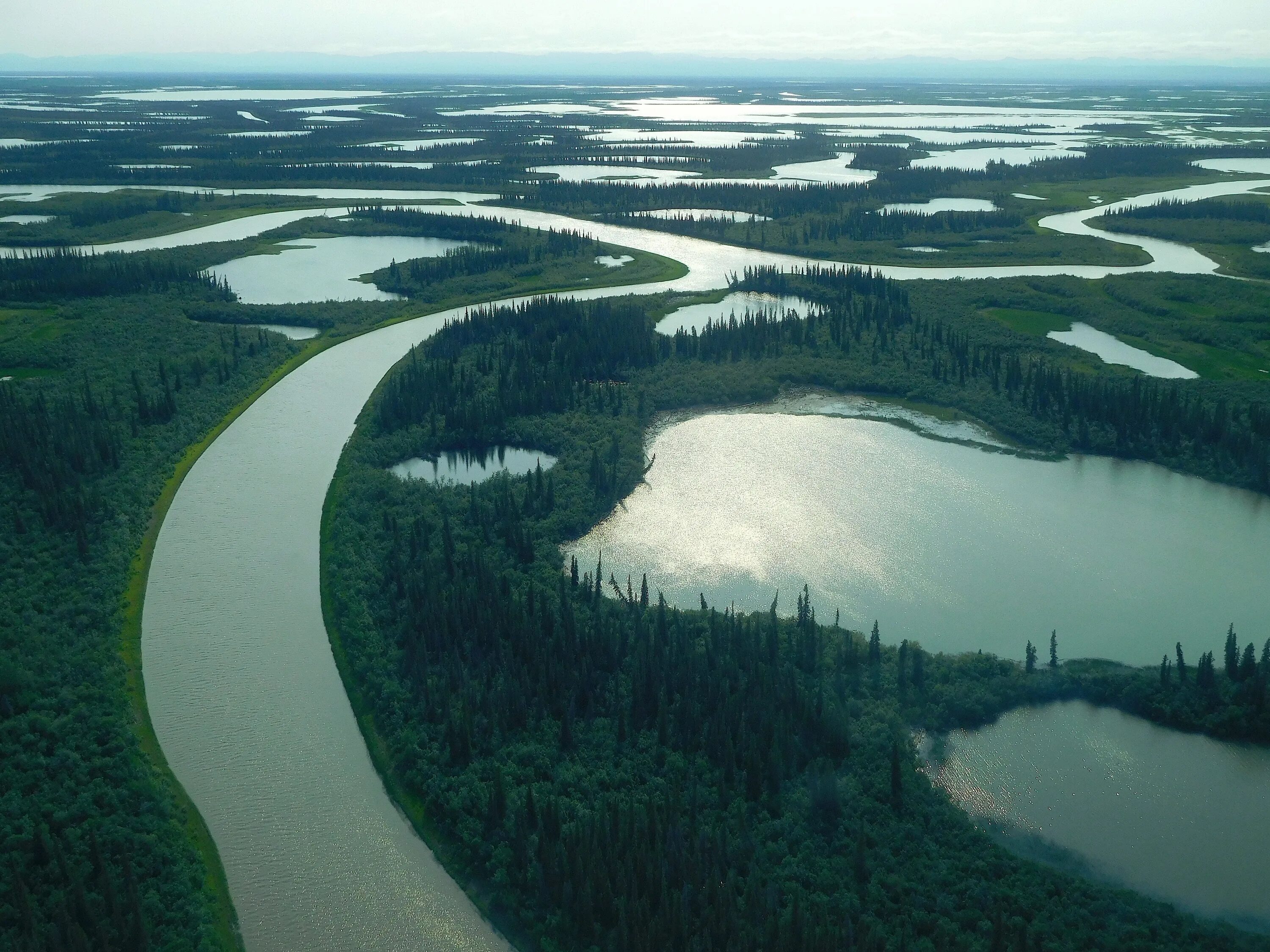 Маккензи какое питание. Река Маккензи. Дельта реки Маккензи. Река Маккензи Канада. Северная Америка река Маккензи.