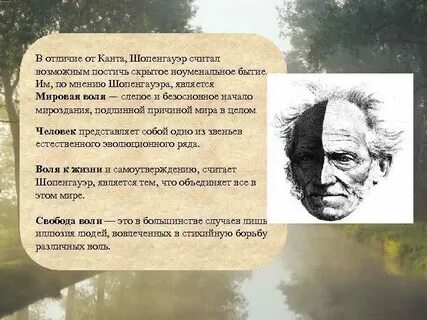 Душа по мнению