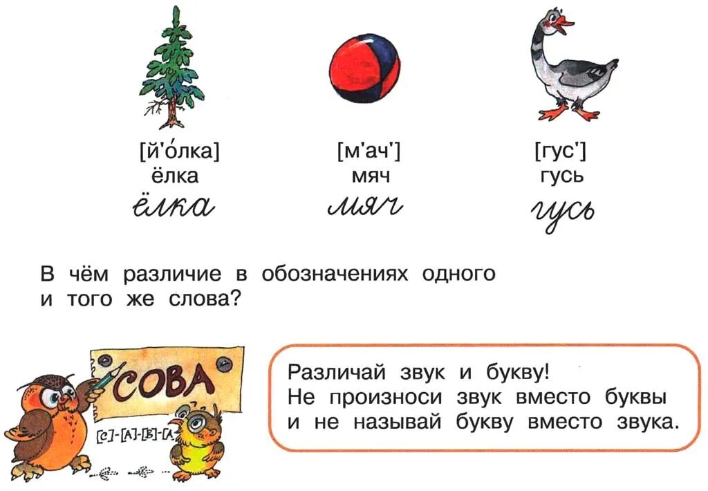 Звуковое обозначение. Звуковое обозначение слова. Раздаточные материалы по русскому языку. Звуковое обозначение слова мяч. Клюква звуки и буквы