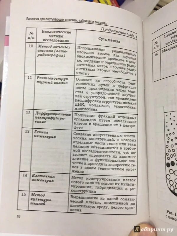 Таблицах резановой. Анатомия в схемах и таблицах. Таблицах резановой. Биология человека в таблицах и схемах. Биология человека в таблицах и схемах.