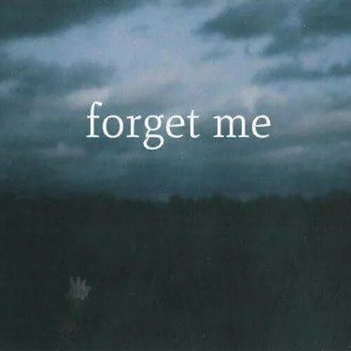 Don't forget me. You forget me картинка. Don't forget about me картинки. Forget about it. Couldn t love