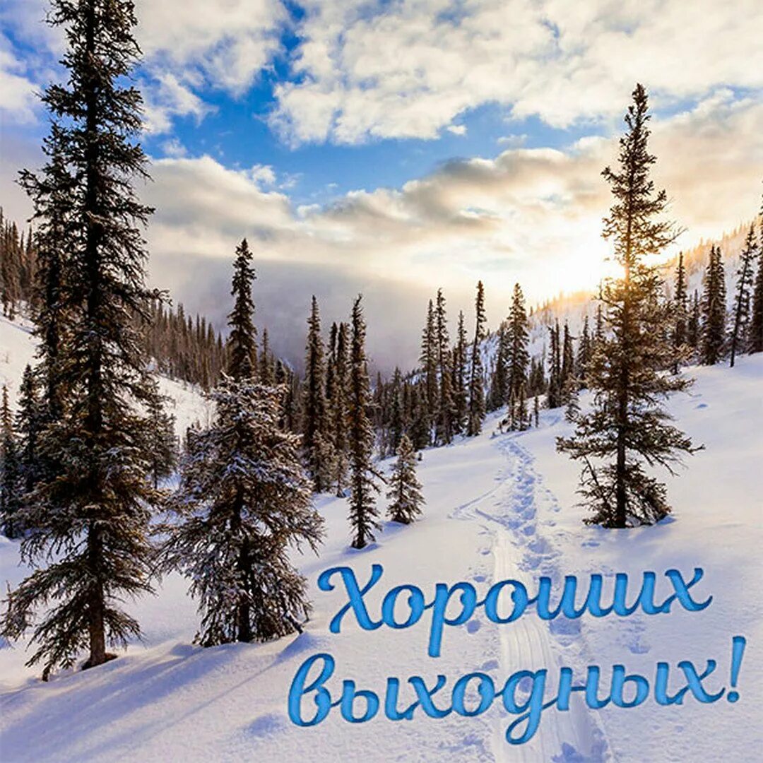 Чудесного настроения в новом году. Хороших зимних выходных и отличного настроения. С добрым зимним субботним утром. Доброе утро хороших выходных зимние. Открытки отличных зимних выходных.