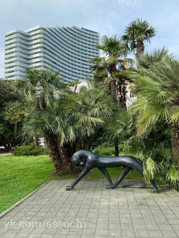 Пляж новороссийска черное море в 2023. Где в крыму не сливают канализацию в море. Море сочи 2023. Море сочи 2023. Море сочи 2023.