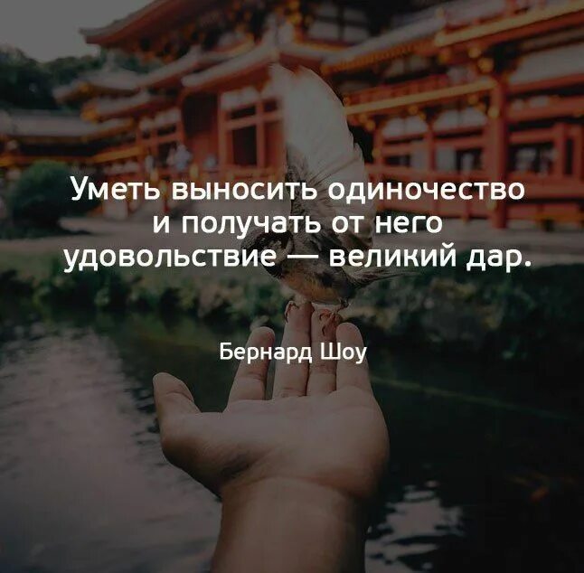 Одиночество получаю удовольствие. Уметь выносить одиночество. Уметь выносить одиночество и получать от него удовольствие. Просто папы умеют терпеть