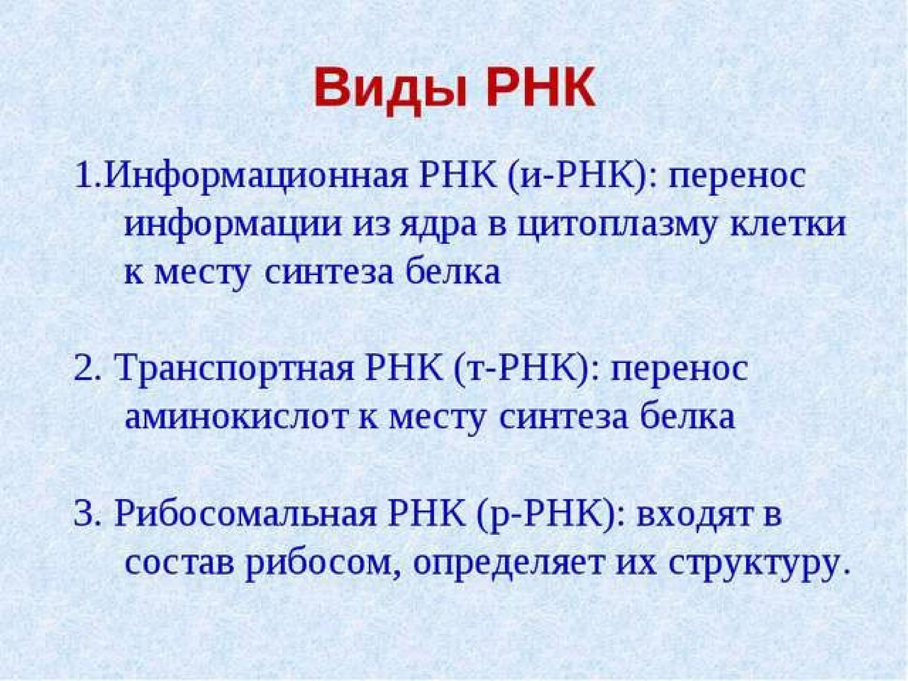 Виды РНК. Основные типы РНК. Функции информационной РНК. Роль информационной РНК.