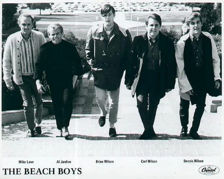 The beach boys 1966. The beach boys. Beach boys "surfin' usa". Beach boys 1967. Зе бич бойз.